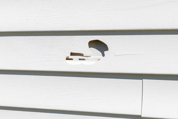 Trusted Emory, TX Siding Experts